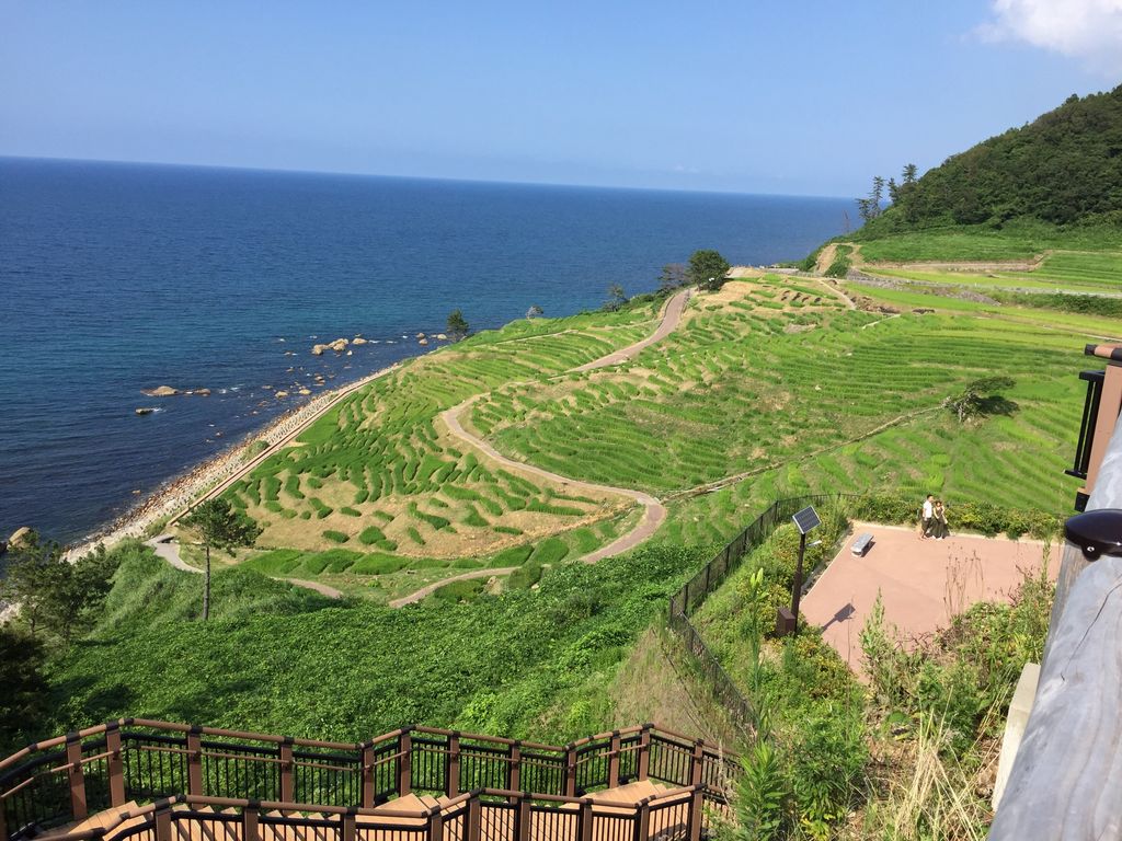 千枚田