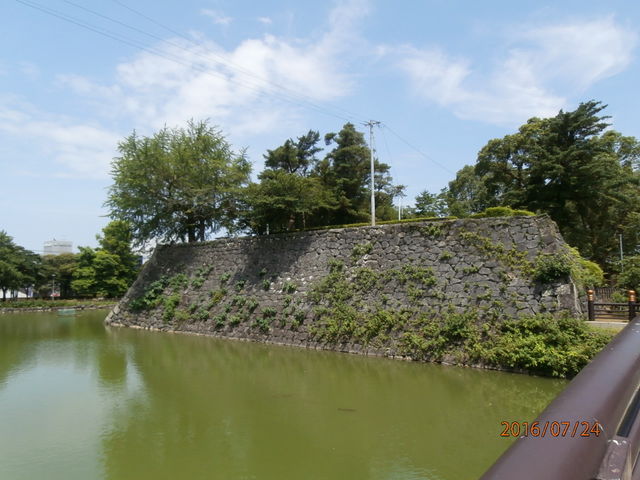 ��������񂳂�̔����Ղ̓��e�ʐ^1