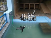 ݂̋vĎsރZ^[̓eʐ^2