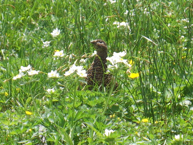 ܐFR֌rł̏o_RAy[gy쌧z