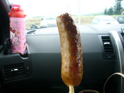 saĩnbslXf[B̓eʐ^1