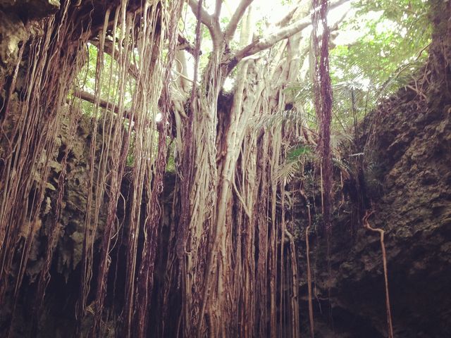 �K�W���}��_�K���K���[�̒J