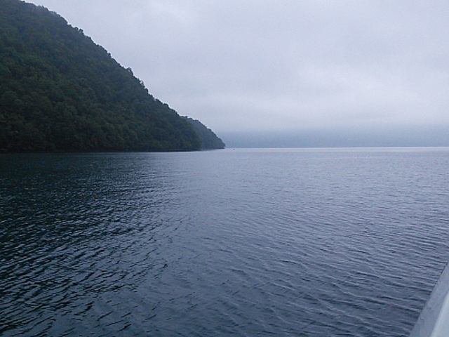 �V���D����_�x┌�