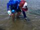 ようよさんの富津海岸潮干狩りの投稿写真1