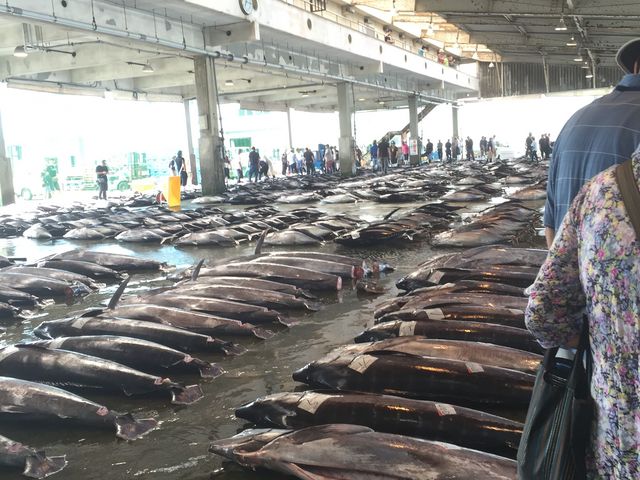 �S���}�O��_���Y���`