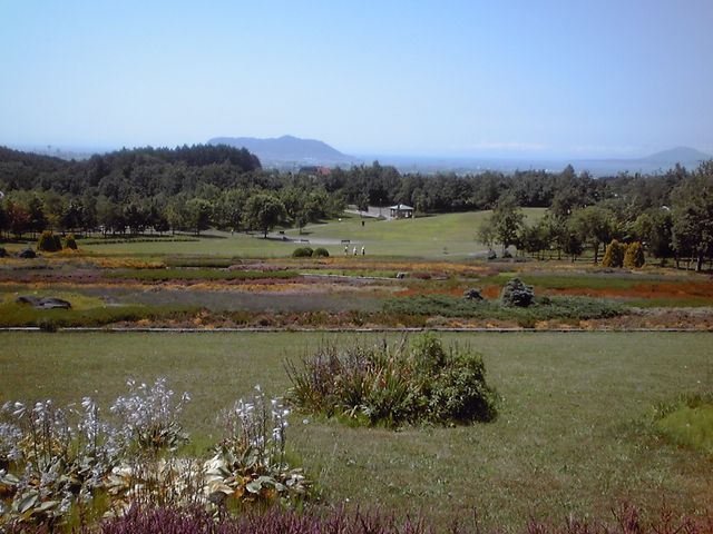 �W�]�ꂩ������S�̂��ʂ��B�����ɔ��َR�������Ă܂��B_����l�G�̓m����