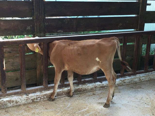 ԏꉡɂq_OW[W[q@~NH[@