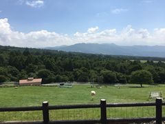 �܂��Ό����̎ʐ^1