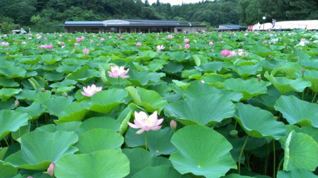 荒神谷博物館
