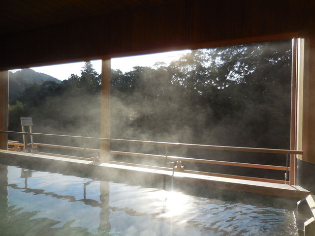 2K̔IVCB̏_炩ȗzłˁB_JR