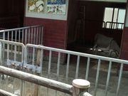 䂤䂤̑HRVni~jj̓eʐ^1