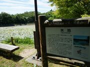 ςσ{[_[̖CRrW^[Z^[̓eʐ^1