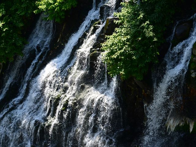 ���̏ォ�猩�锒�Ђ��̑�_���Ђ��̑�