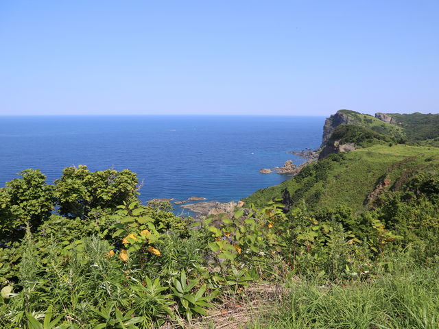 �ϒO�u���[�̐�i���L����܂�_�����ӊC��