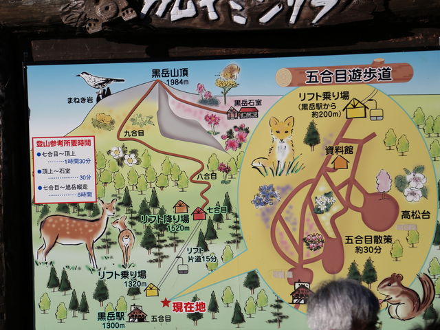 ���x�w �S���h���~���t�߂̈ē��ł�_���x�y�A���t�g