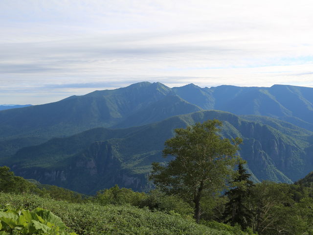 �y�A���t�g�~���t�߂���̒��]�ł�_���x�y�A���t�g