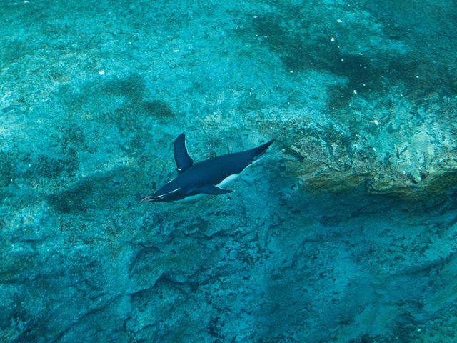 �j���y���M��_���R������