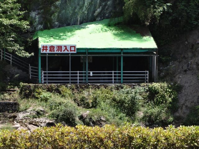 �`�P�b�g���ꂩ�狴��n���ē������_��q��