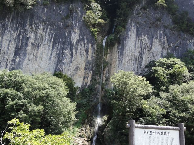 ������̍����̑�_��q��