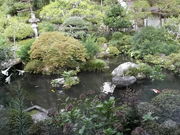 񂳂̊oіV̒뉀̓eʐ^2