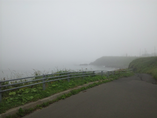 �ǂ���`_�[���z��