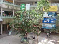 p̗p̊ۋTO[ւ̓eʐ^1