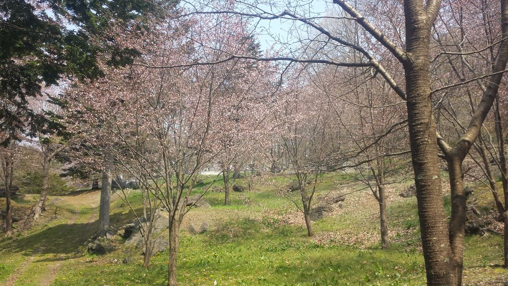 善光寺の桜 アクセス 営業時間 料金情報 じゃらんnet