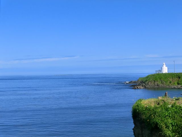 �[���z������_�[���z��