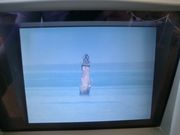 񂳂̖kفi]̉Ɓj̓eʐ^2