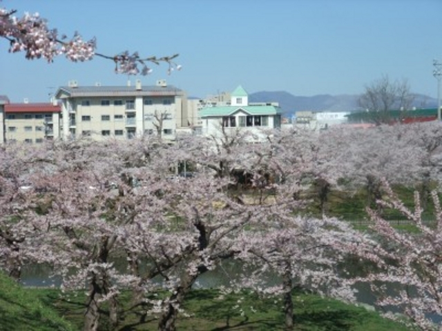 ���������ɓo��ƍ����ቺ�Ɍ��n���܂�_�ܗŊs����