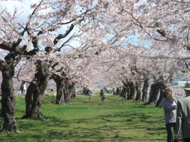 ���̃g���l��_�ܗŊs����