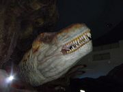 ߋT|~̂Ȃ邳xmRق̓eʐ^4