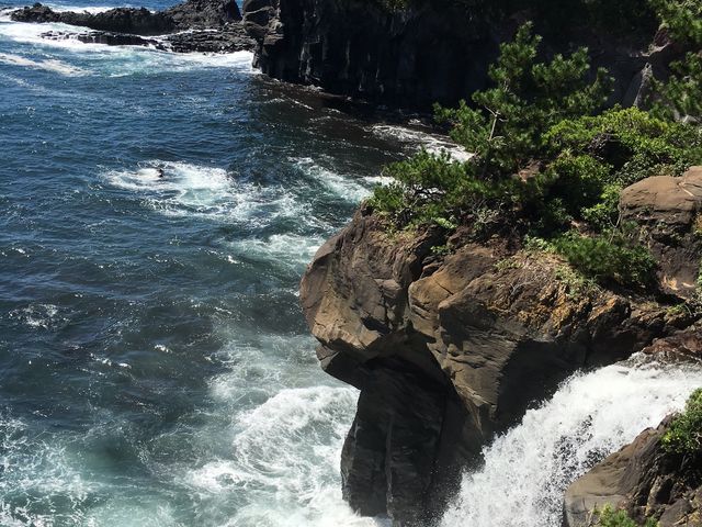 �E������ł��B
������萅�ʂ������̂���_�O���[�g�l�C�`���[�c�A�[�Y