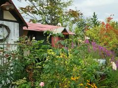 amucha����̃t�����[���K�[�f���X�̕��ւ̓��e�ʐ^1