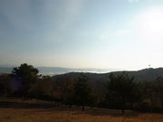 Ђł񂳂̍p̒̓eʐ^1