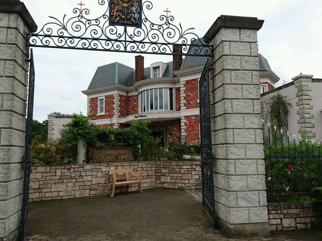 ���؂ȊO�ςł�_�_�C�A�i�K�[�f���G���W�F�����p��