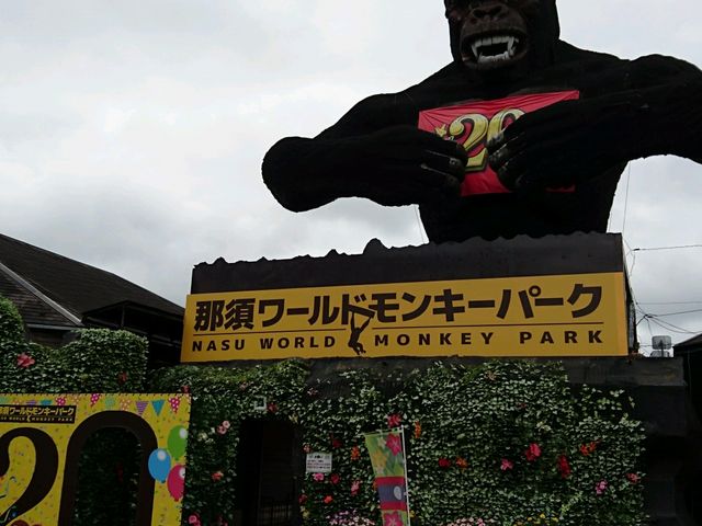 ŋŎʐ^B܂_ߐ{[hL[p[N