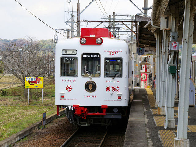 �C�`�S�d��_�ɑ��F�]�w