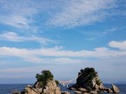 ��������̖L��񌩃��Y�̓��e�ʐ^1