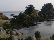 ��������̖L��񌩃��Y�̓��e�ʐ^2