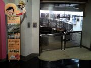 kingtut̉sc܂񂪔pق̓eʐ^1