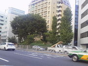 ���񂳂�̍��֑�،ːՂ̓��e�ʐ^2