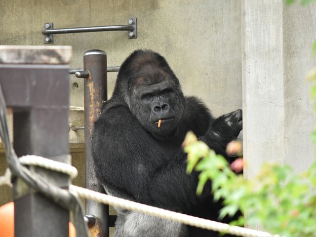 ���R���A����