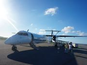 ܂[܂񂳂̗^ߍ`̓eʐ^2