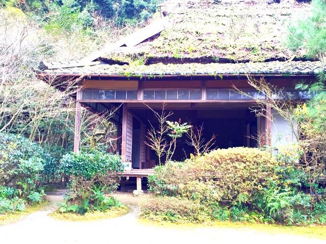 �̂���������܂�_�����