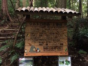 }C}C̃gg̐XPn̓eʐ^1