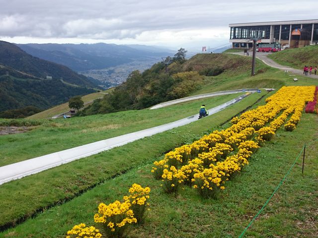 T}[{uX[ǂǁAs񂪂ȂȂi܂Ȃ̂ƎcOB_򍂌[vEFC