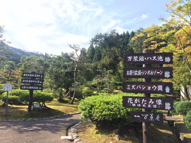 ����������Ă���_���t�̗��@���^�쉑