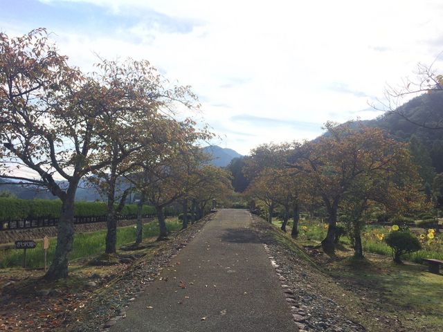 ������_���t�̗��@���^�쉑