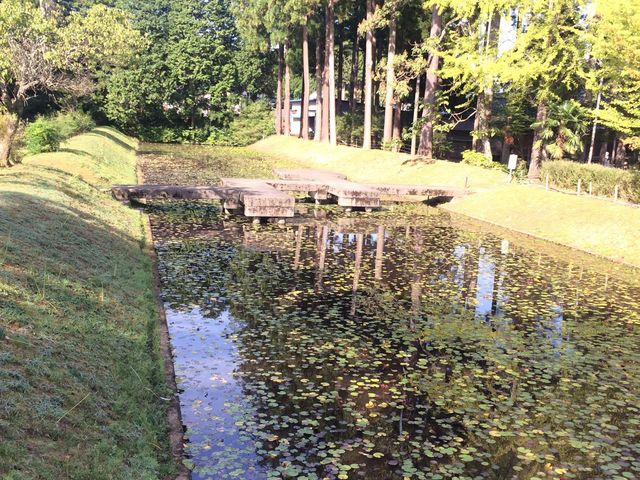 �n�X�̒r_���t�̗��@���^�쉑